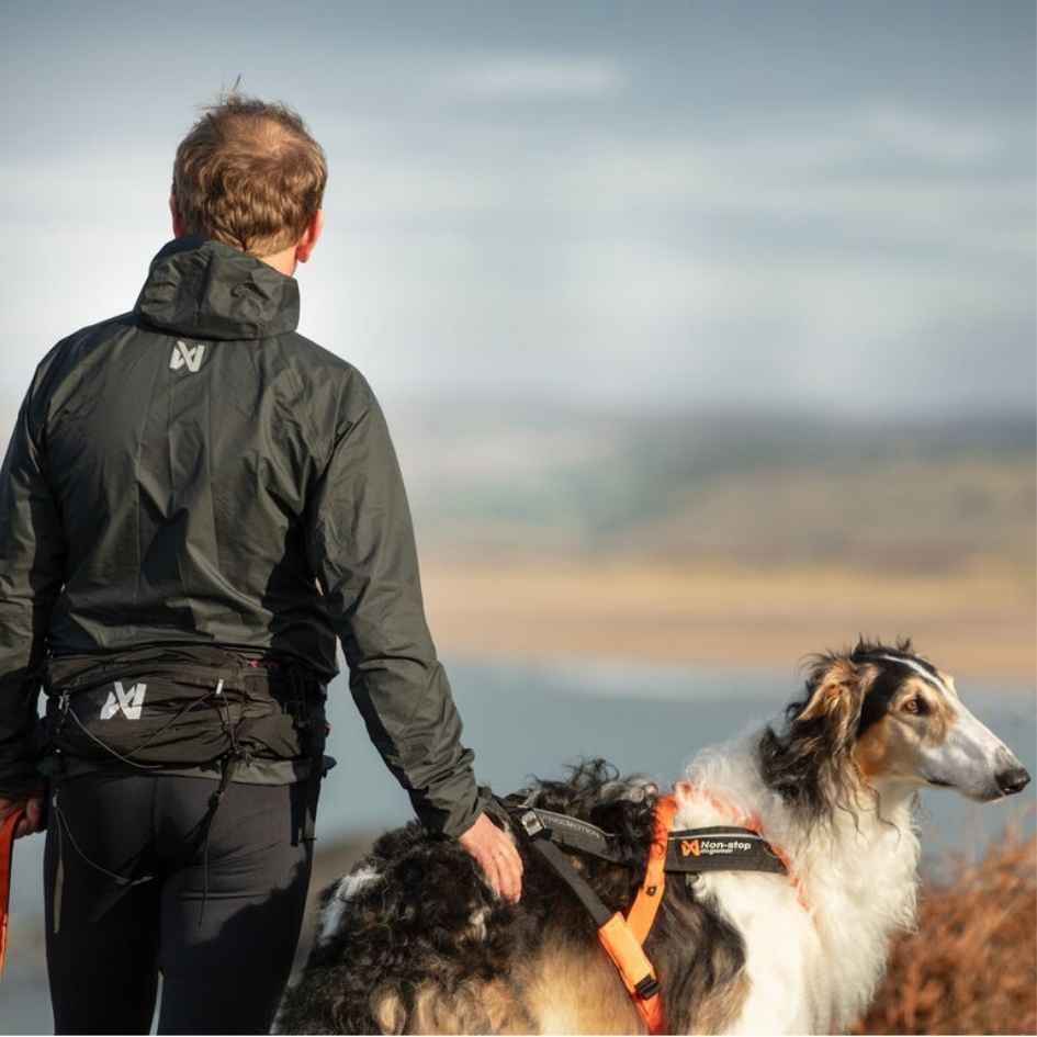 Non-stop dogwear Trail light belt, Unisex, black, M, Single - Bild 5