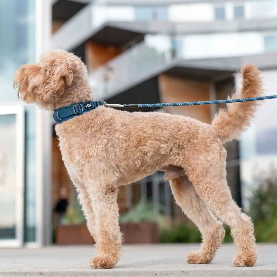 DOG Copenhagen Urban Explorer Collar, Ocean Blue - Bild 4
