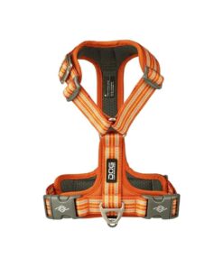 DOG Copenhagen Comfort Walk Air Harness, Orange Sun - Bild 2
