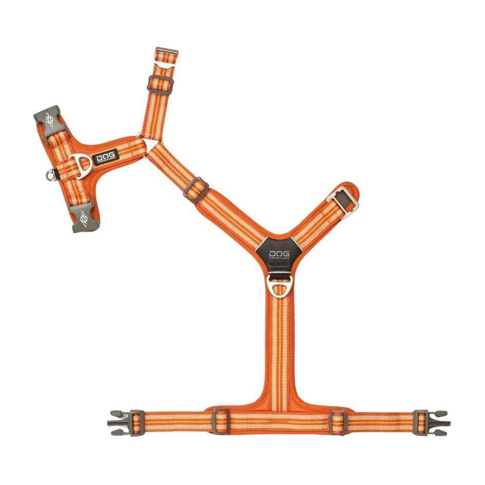 DOG Copenhagen Comfort Walk Air Harness, Orange Sun - Bild 3