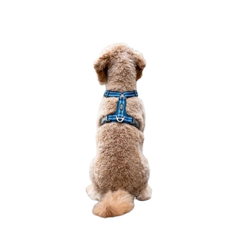 DOG Copenhagen Comfort Walk Air Harness - Black - Bild 6
