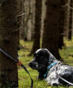 Non-stop dogwear Touring bungee adjustable, Unisex, black/Grey - Bild 4