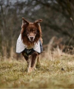 Non-stop dogwear Fjord raincoat 2.0, Unisex, Gray, Single - Bild 3
