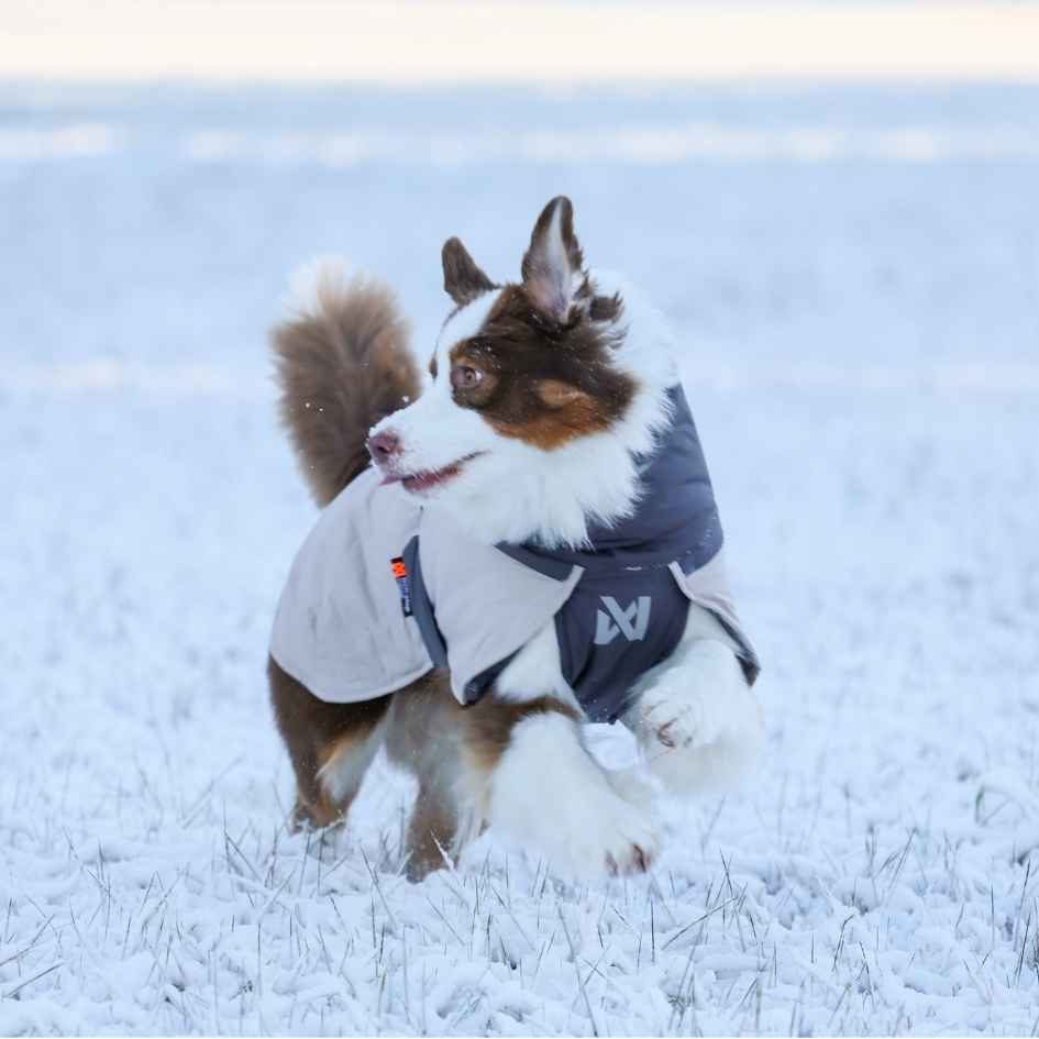 Non-stop dogwear Glacier wool jacket 3.0, Unisex, Grey - Bild 5