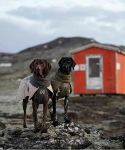 Non-stop dogwear Glacier wool jacket 3.0, Unisex, Grey - Bild 4