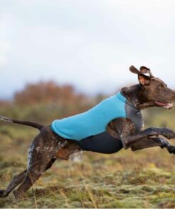 Non-stop dogwear Trail quest fleece pullover, Unisex, Teal - Bild 2