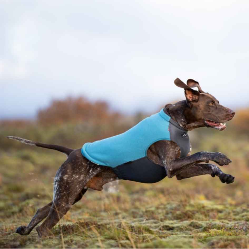 Non-stop dogwear Trail quest fleece pullover, Unisex, Teal - Bild 2