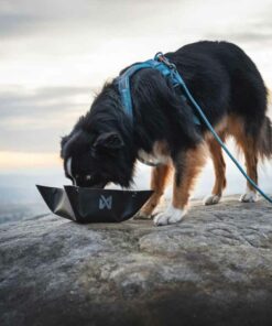 Non-stop dogwear Trekking bowl, Unisex, black - Bild 4
