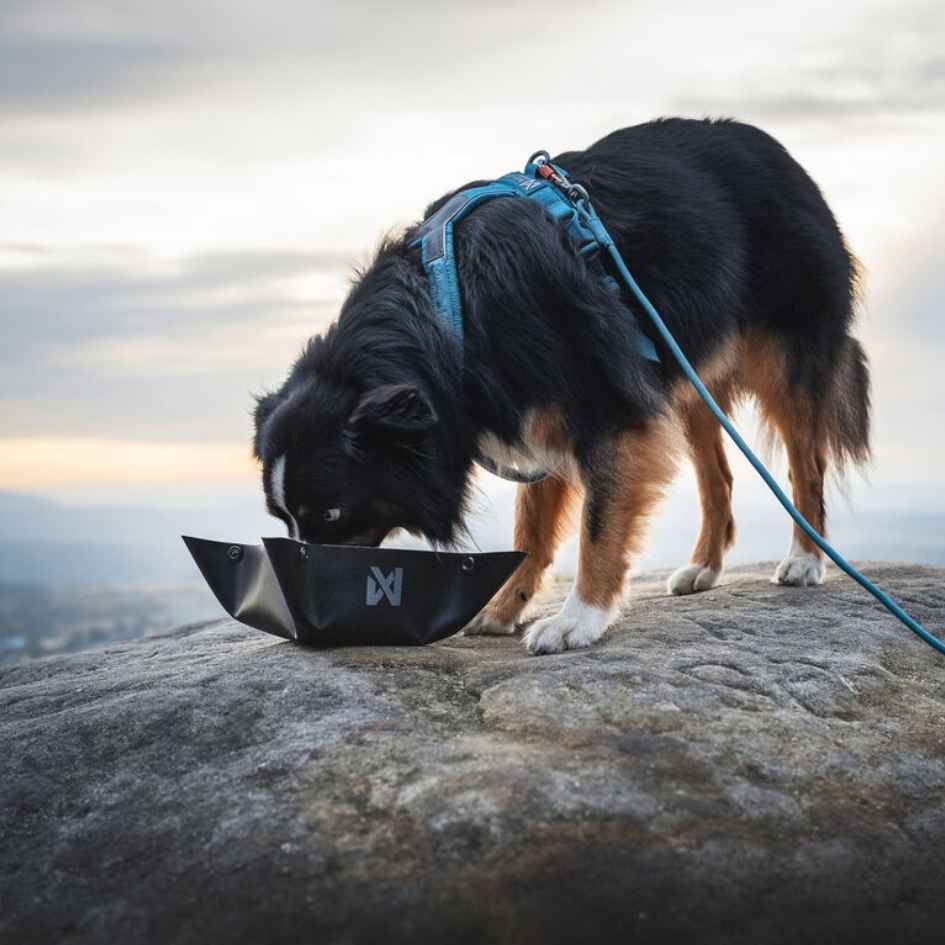 Non-stop dogwear Trekking bowl, Unisex, black - Bild 4