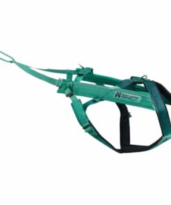 Non-stop dogwear Freemotion harness 5.0, Aqua