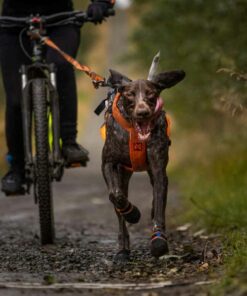 Non-stop dogwear Freemotion harness 5.0, Aqua - Bild 3