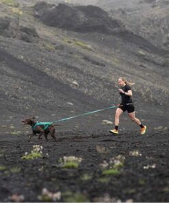 Non-stop dogwear Freemotion harness 5.0, Aqua - Bild 4