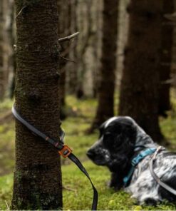Non-stop dogwear Touring bungee adjustable, Unisex, black/Grey - Bild 5