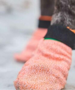 Non-stop dogwear Protector light socks, Orange, 4-pack - Bild 2