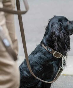 DOG Copenhagen Urban Classic Collar Mocca - Bild 5