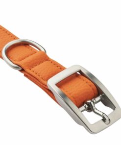 DOG Copenhagen Urban Classic Collar Orange Sun - Bild 3