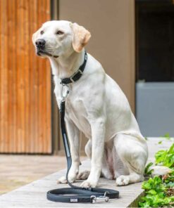 DOG Copenhagen Urban Classic Leash Small - Bild 4