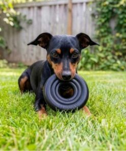 Kong Dog Donut Extreme M/L 12x12x4 cm - Bild 4