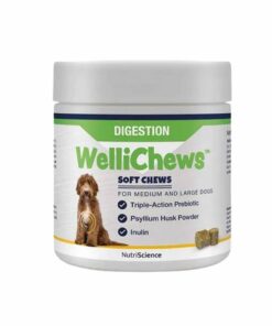 Swedencare Wellichews Digestion Medium/Large Se/Fi60 St